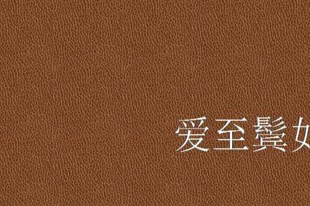 鬓如霜雪的意思
