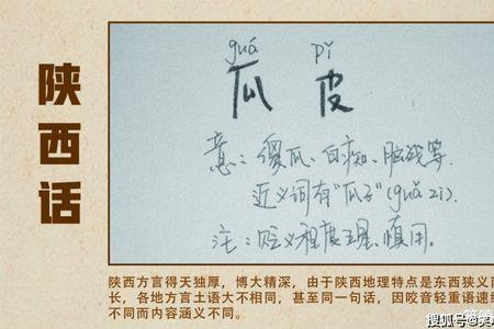 陕西话掉棒啥意思