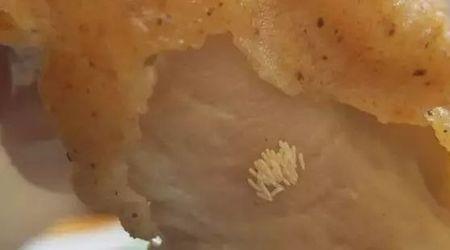 绿豆蝇卵和苍蝇卵什么区别