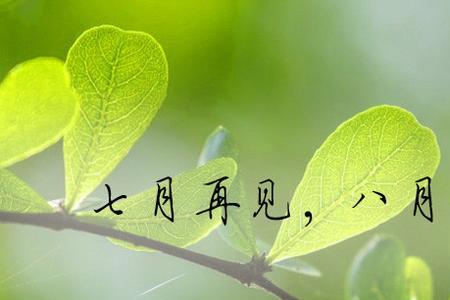 八月比七月还热的最好说法