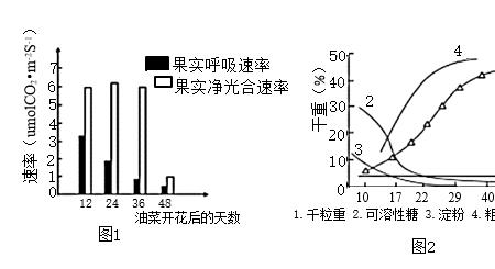 净光合速率增加说明什么