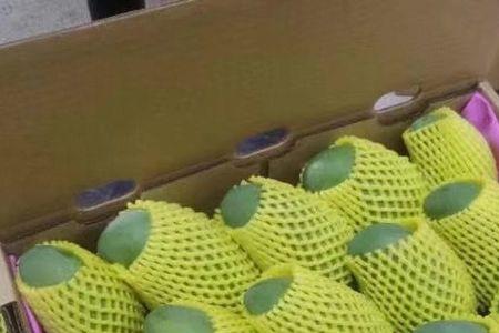 青桂任霜霰尺璧无瑕疵的意思