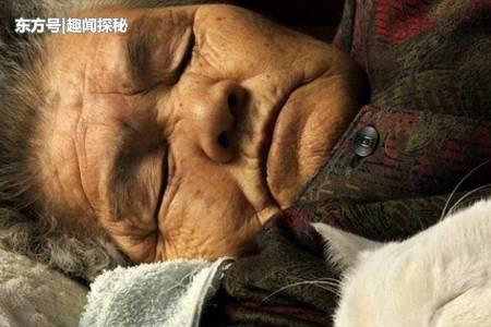 猫发出奶奶叫声什么意思