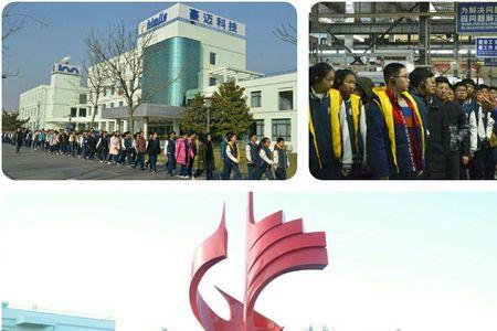 高密豪迈会变成国企吗