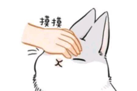 摸摸头家常做法