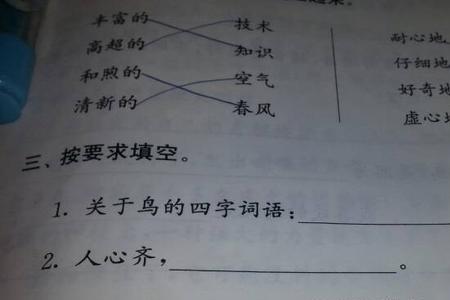 鸟儿挥动着怎样的翅膀四字成语