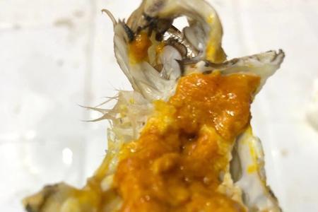 大闸蟹红膏和黄膏的区别