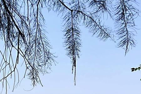 东湖落雁景区晚上开放吗
