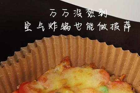 9寸披萨用几升的空气炸锅