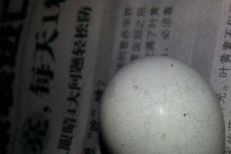 蛋的部首是什么