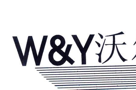y和w组合起来是什么意思