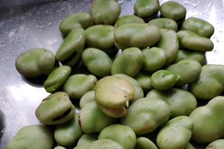 蚕豆像豆角的豆子是什么豆