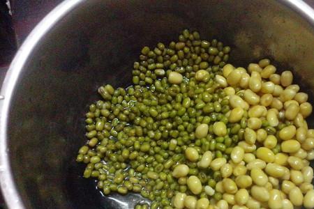 绿豆长大了是黄豆吗