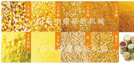 山东玉米加工企业排名