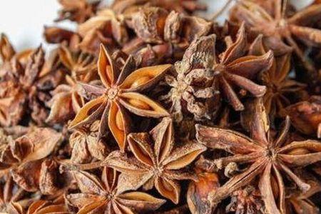 大料秋角和春角哪个好
