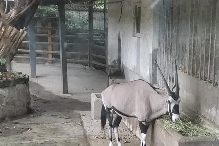 重庆市动物园归属哪个部门管理