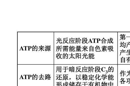 为什么光反应是吸能反应