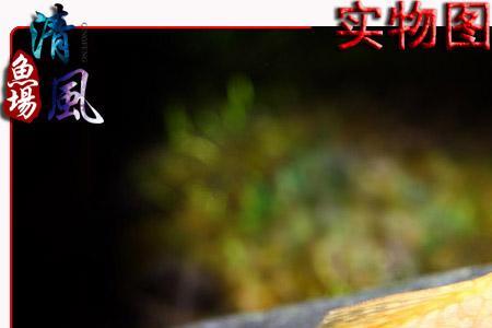 红眼胡子鱼是什么鱼