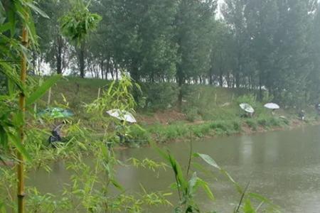 夏季32度下完雨东南风好钓鱼吗