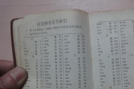 s的音序在字典的哪一页
