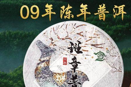 十年的茶饼还能喝吗