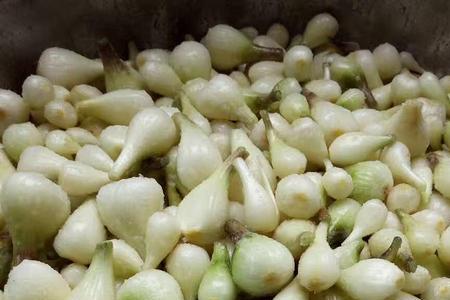 荞头和葱头有什么区别