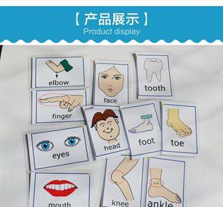五官的英语单词
