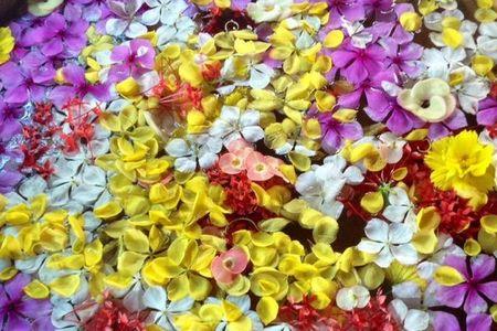花瓣的功能
