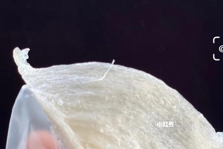 三角盏和燕盏的区别