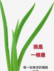 别把自己当根葱后半句
