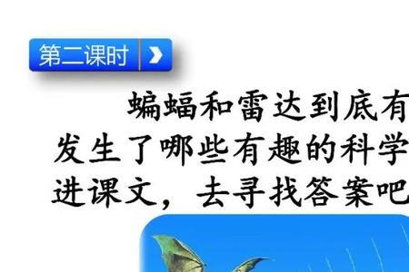 蝙蝠和雷达什么时候改的