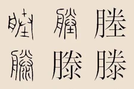 姓彪的祖宗