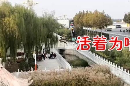 为什么活着这么累原唱