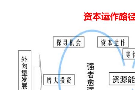 项目资本运作是什么意思