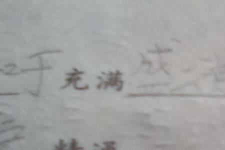 终止的反义词
