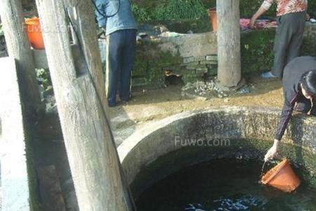 河水能不能直接放鱼缸里