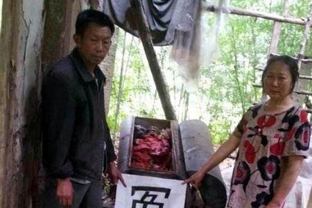 一个尸一个役读什么