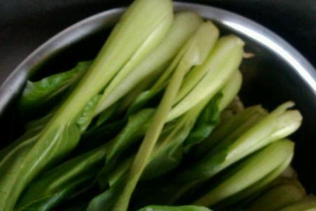 香菇春菜包子做法