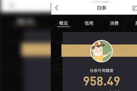 京东白条借1000一个月利息多少