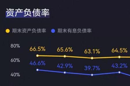 属于长期负债的有哪些