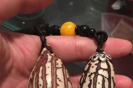 菩提果有几种