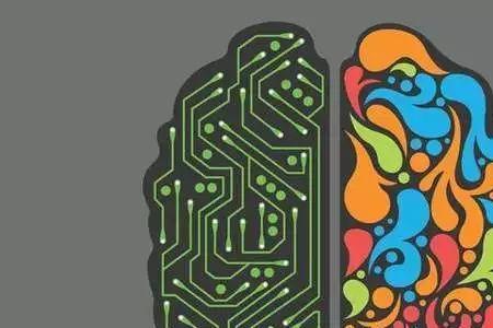 人正常思维用的是左脑还是右脑