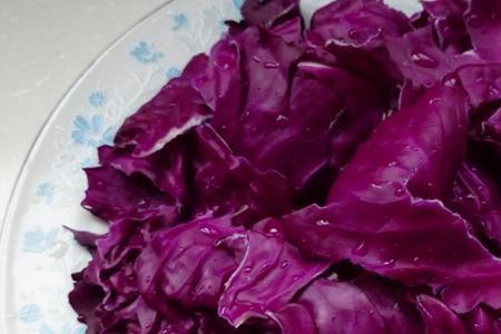 紫椰菜跟紫甘蓝是同一样东西么