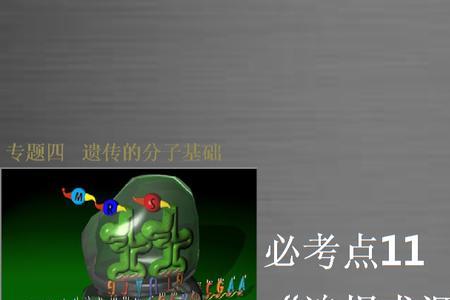 追根求源的源是什么意思
