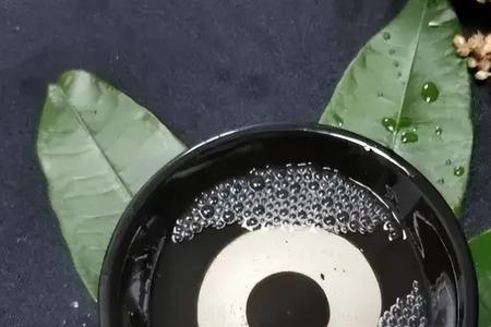 吸收精华去其糟粕的意思
