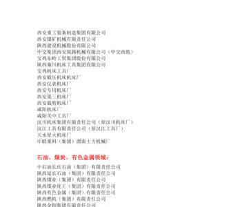 陕飞维科有限公司是国企吗