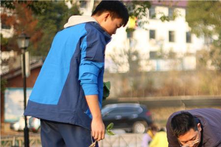 什么是劳动教育高中