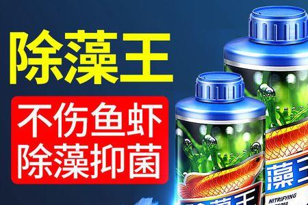 清除褐藻用杀菌灯可以吗