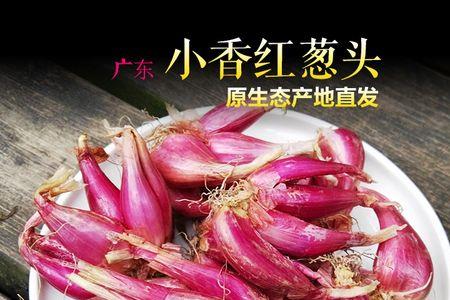 干葱和红葱头是一个东西吗
