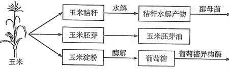 苯磺隆属于碱性吗